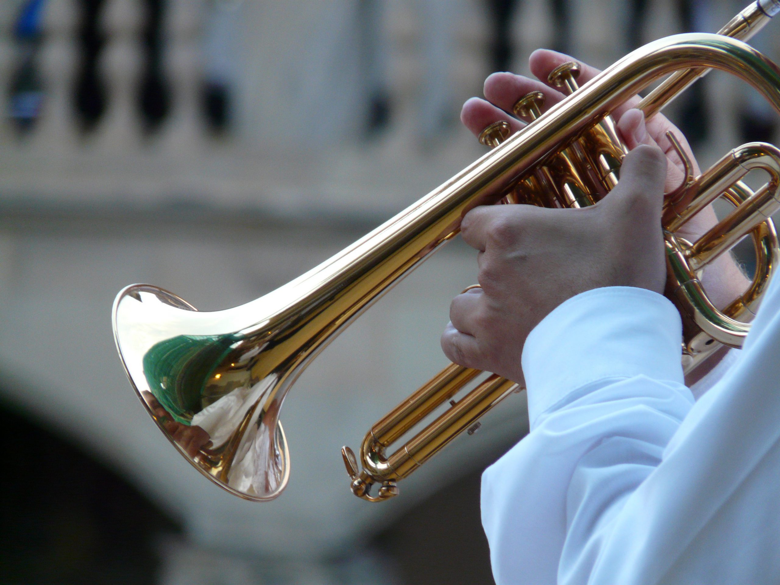 trumpet-player-8455_1920